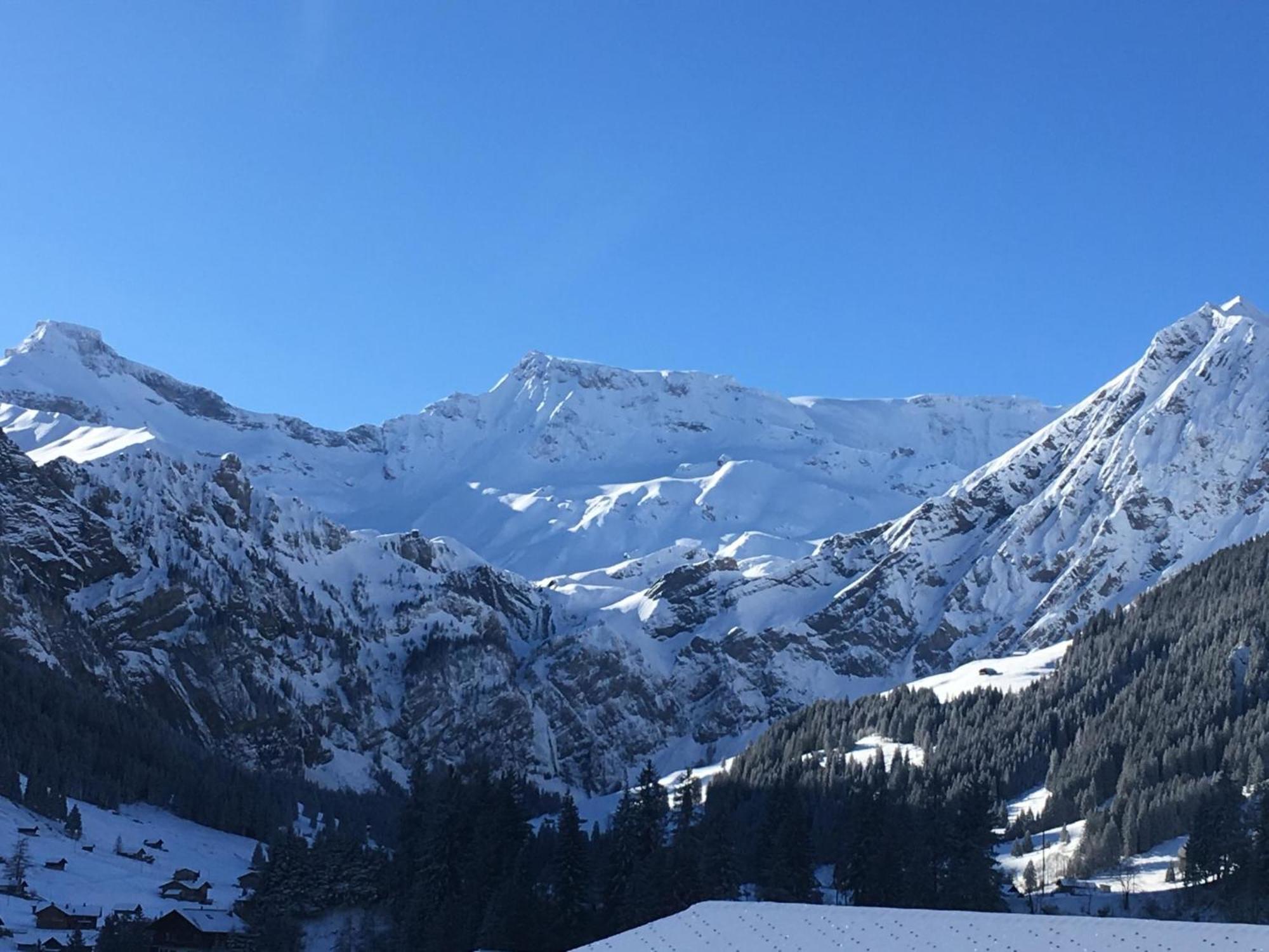 Apartment Hari By Interhome Adelboden Exterior foto